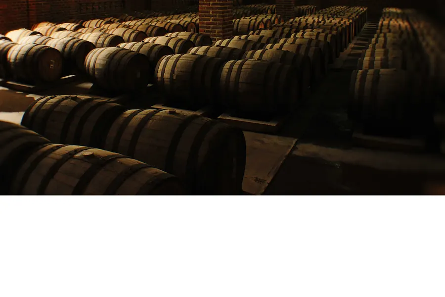 Cava con barricas de roble para reposar tequila